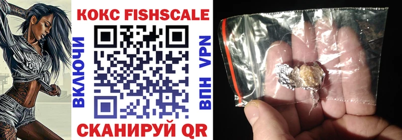 Купить  Зеленогорск  Кокаин Fish Scale 