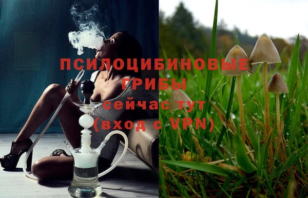 дмт Заволжск