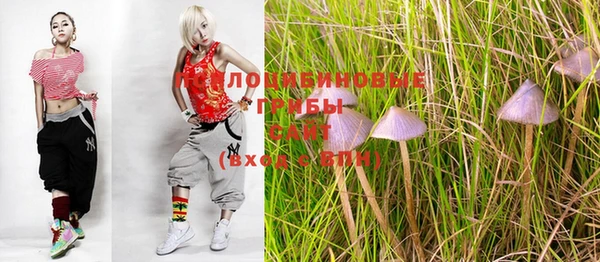 mix Заводоуковск