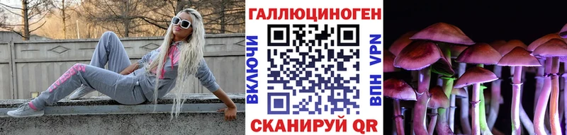 Купить  Зеленогорск  Галлюциногенные грибы Psilocybine cubensis 