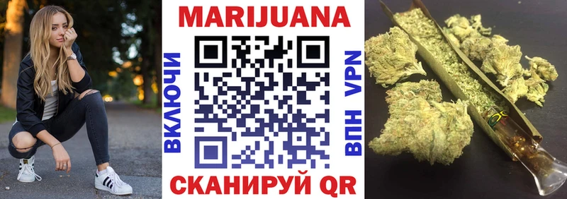 Купить закладки  Зеленогорск  Каннабис сатива 